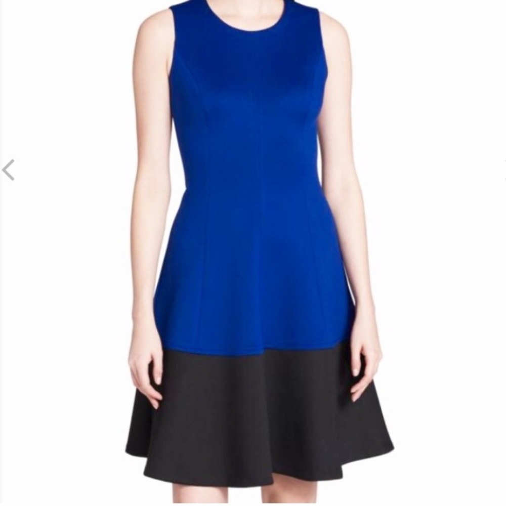 NWOT Calvin Klein Color Block  Dress  2